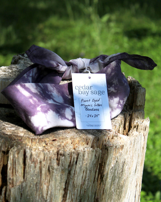 organic cotton bandana | lavender